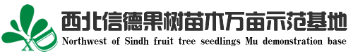 网站首页-西北信德苗木专业合作社-西北信德果树苗木杨凌万亩示范基地